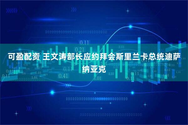 可盈配资 王文涛部长应约拜会斯里兰卡总统迪萨纳亚克