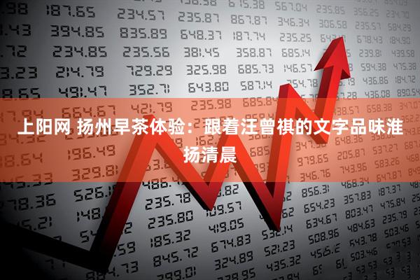 上阳网 扬州早茶体验：跟着汪曾祺的文字品味淮扬清晨