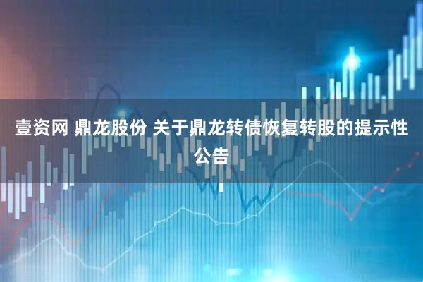 壹资网 鼎龙股份 关于鼎龙转债恢复转股的提示性公告