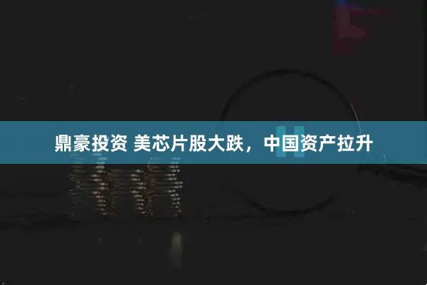 鼎豪投资 美芯片股大跌，中国资产拉升